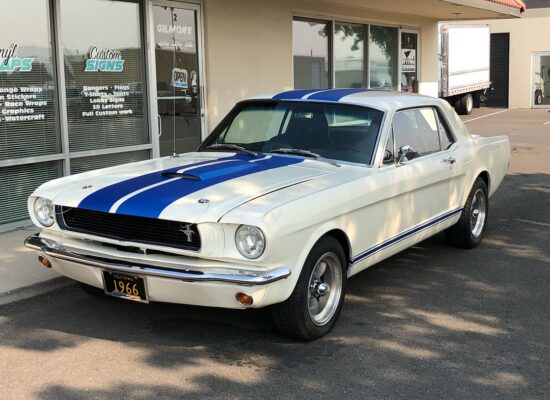 Mustang Stripes